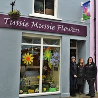Tussie Mussie Flowers, Haverfordwest, Pembrokeshire. 1079771 Image 0